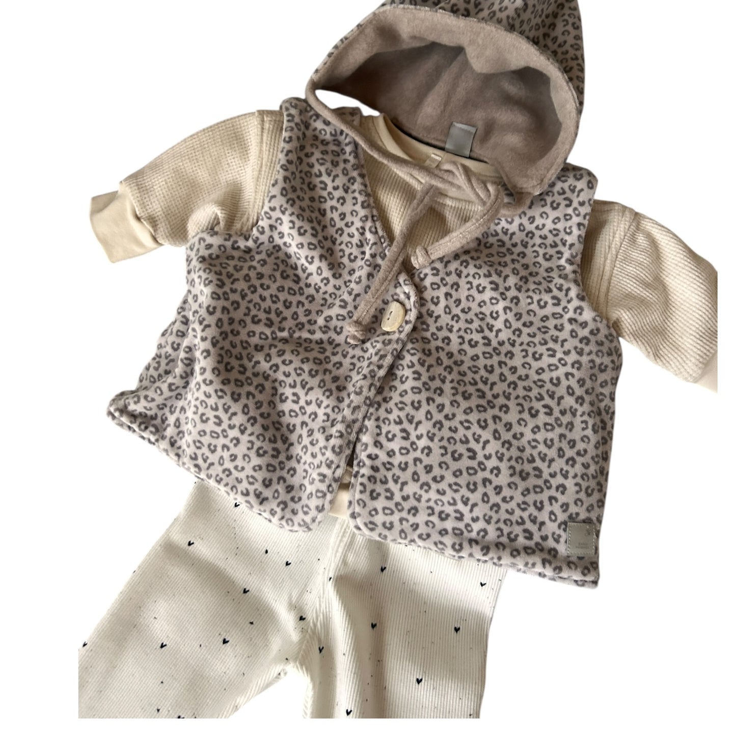 Weste Samtpfötchen gefüttert